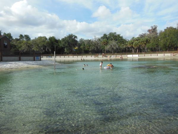Swimming at Lithia Springs Park, Hillsborough County, Florida