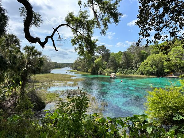 Rainbow Springs State Park Goes Reservation-Only April 29 — Reservations Are Open Right Now
